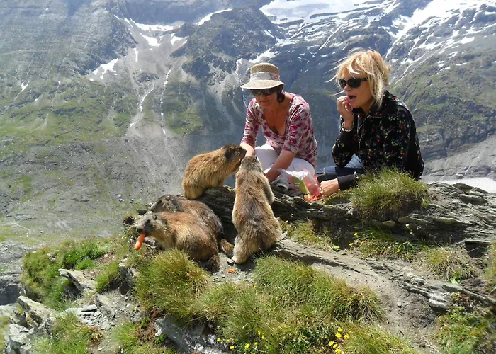 Apartament Landhaus Schober Großkirchheim