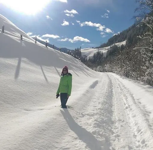 Apartament Landhaus Schober Großkirchheim